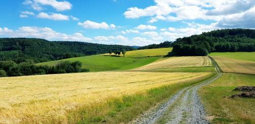 Apartamento Fewo Krehberg