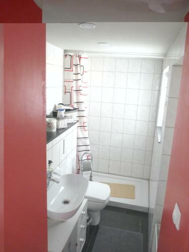 Apartamento Altstadt Linz, G�nstiges Atelierloft