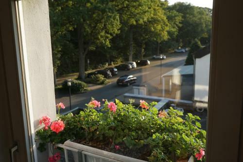Apartamento Wohnung Am Kurpark