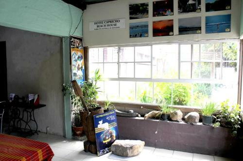 Hotel Ximenas Guest House