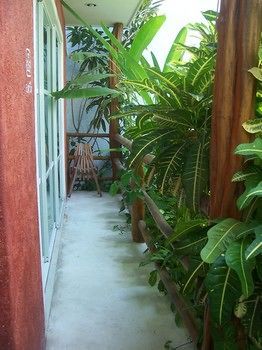 Apartamentos Elements Of The Island