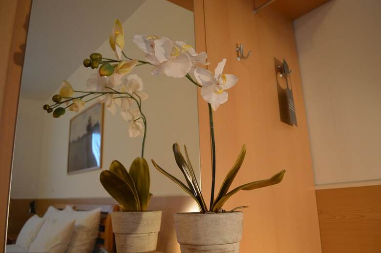 Hotel Donaustadt Kagran