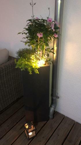 Apartamento Strandstra�e H3w6 K�lpinsee