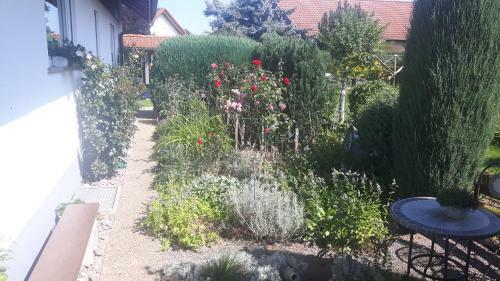 Apartamento Ferienwohnung Schwarzwaldgl�ck