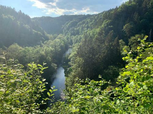 Apartamento Schwarzwaldmarie Ferienwohnung