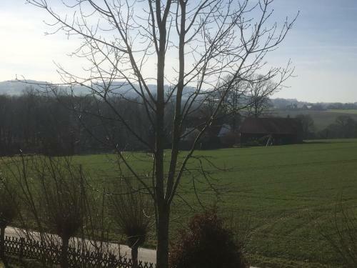 Apartamento Ferienwohnung Am Bramschebach