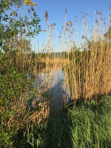 Apartamento Fewo Lahnblick