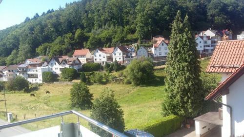 Apartamento G�stehaus R�ger