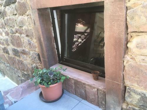 Apartamento Wohnen Im Springerhof