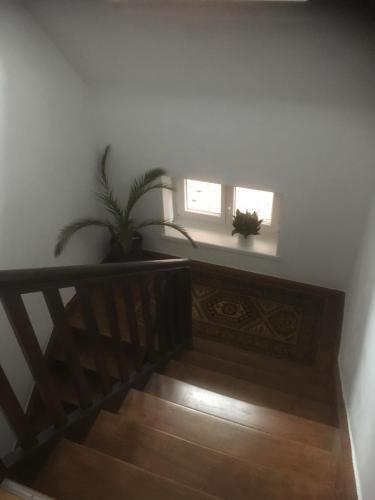 Apartamento Wohnen Im Springerhof