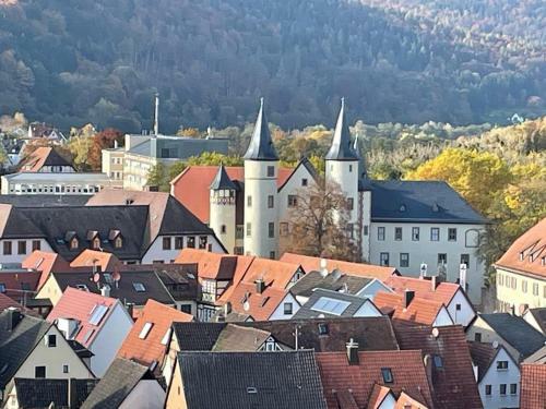 Apartamento Ferienwohnung Im Springerhof