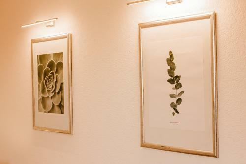 Apartamento Haus Sonnenblick