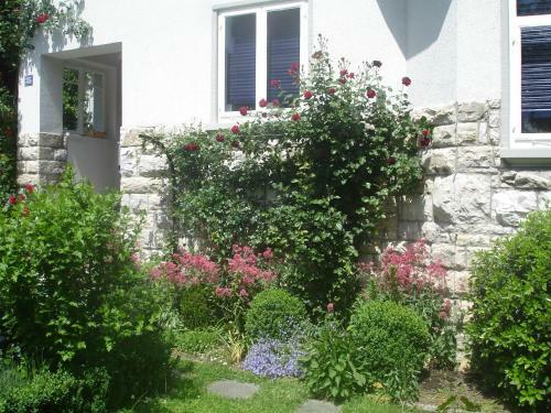 Apartamento Villa Am Rosenfelspark