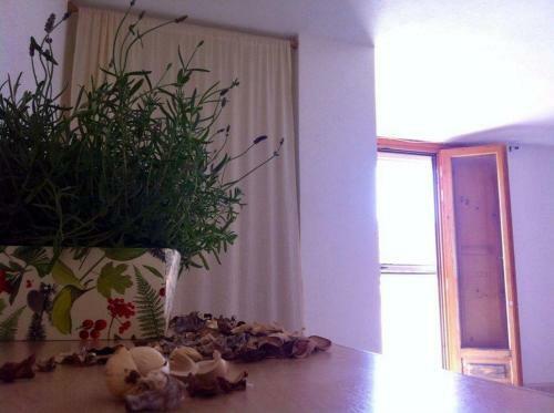 Apartamento Appartamenti Centro Policastro