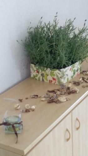 Apartamento Appartamenti Centro Policastro