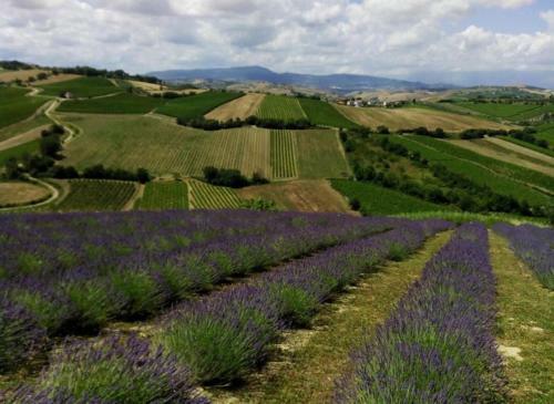 Apartamento Il Melograno House