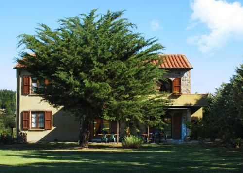 Apartamento Appartamento Olivo - Agriturismo Le Selvole