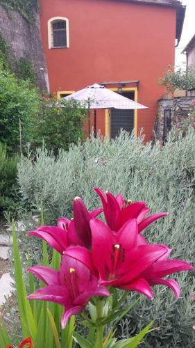 Apartamento La Casetta Della Nonna