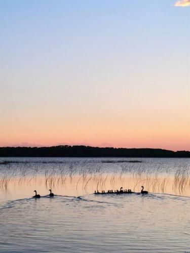 Aframe On Bass Lake