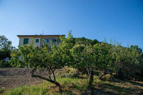 Apartamento La Beppa - Casa Vacanza