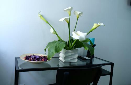 Bed & Breakfast Andolfi 24 Rooms