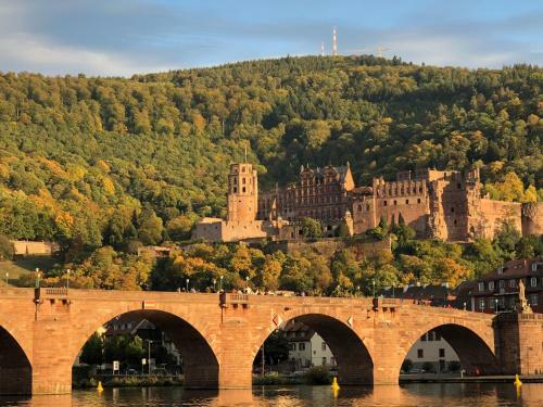 Apartamento Boardinghotel Heidelberg