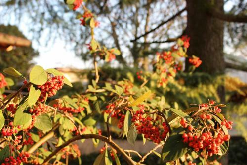 Bed & Breakfast Appartamento " Nella Natura "