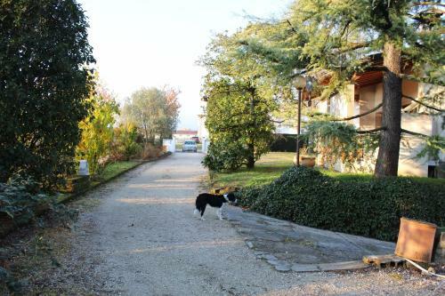 Bed & Breakfast Appartamento " Nella Natura "