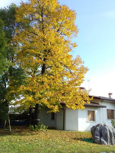 Bed & Breakfast Appartamento " Nella Natura "