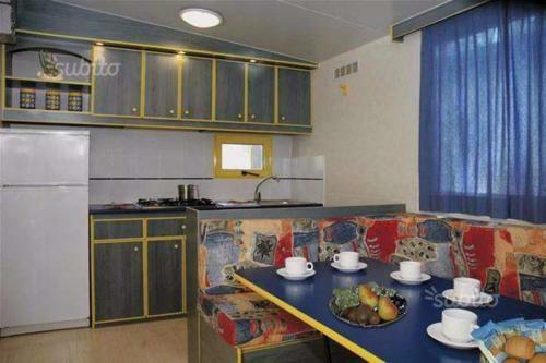International Camping