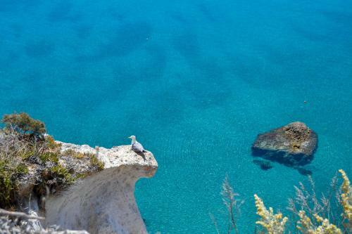Apartamento Maridea - Le Suites Di Albachiara