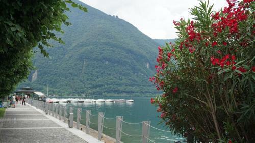Casasinporlezza - Camping Itali�