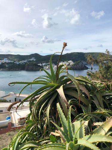 Bed & Breakfast Casa Carmela