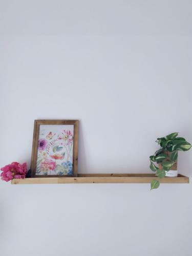 B&B Peonia