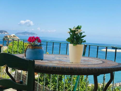 Apartamento Cupola - Immobilevante