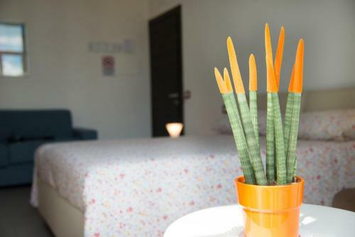 Bed & Breakfast Notti Vesuviane