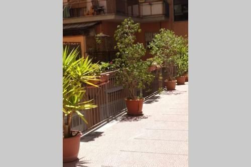 Apartamento Verde Centrale Home