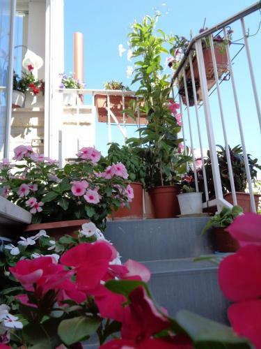 Apartamento Casa Marianna Short Lets