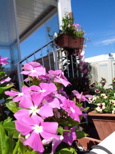 Apartamento Casa Marianna Short Lets