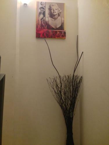 Hostal Via Roma 224
