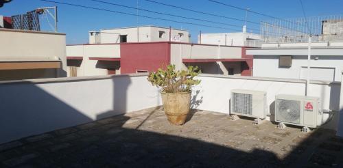Apartamento Portoncino46