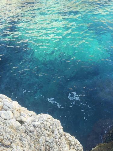 Apartamento G.h. Polignano A Mare