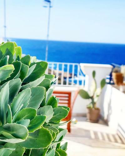 C'era UNA Volta Apartments