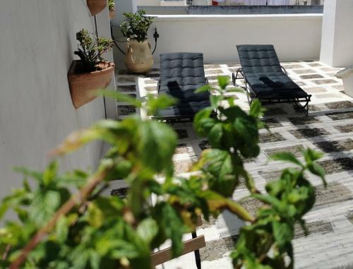 Apartamento Suitenovecentodieci