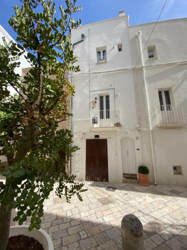 Apartamento Casa Nin�