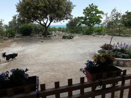 Apartamento Polignano: Ai Due Capperi