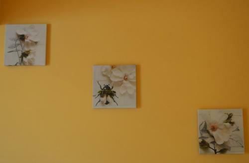 Bed & Breakfast Essenza Di Mare