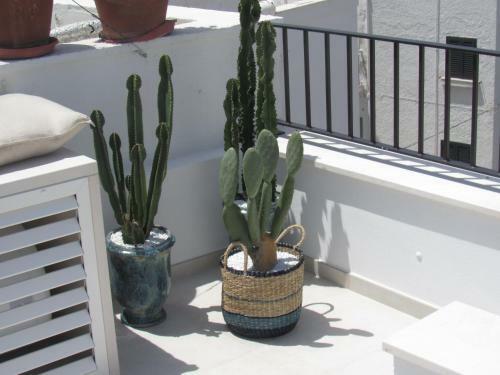 Apartamento Nisea
