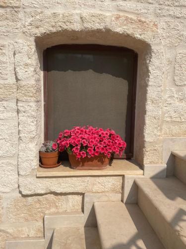 Hostal Lamanna Summer House