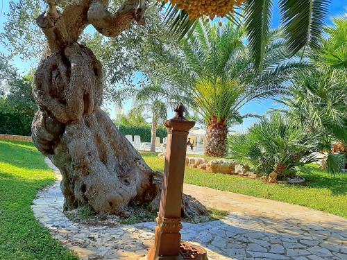 Hostal All`ombra Del Carrubo